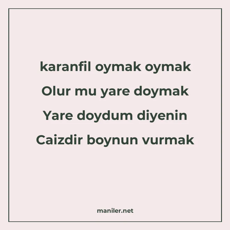 karanfil oymak oymak Olur mu yare doymak Yare doydum diyenin manisi görseli