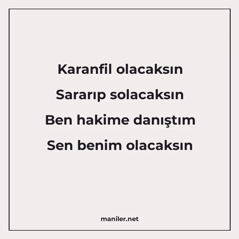 Karanfil olacaksın Sararıp solacaksın Ben hakime danıştım Se manisi görseli
