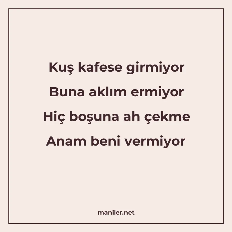 Kuş kafese girmiyor Buna aklım ermiyor Hiç boşuna ah çekme A manisi görseli