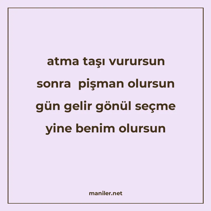 atma taşı vurursun sonra pişman olursun gün gelir gönül seçm manisi görseli