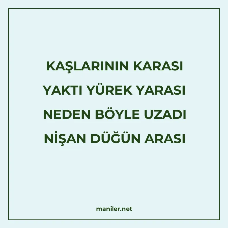 KAŞLARININ KARASI YAKTI YÜREK YARASI NEDEN BÖYLE UZADI NİŞAN manisi görseli