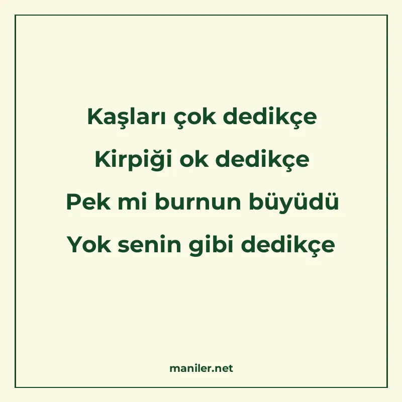 Kaşları çok dedikçe Kirpiği ok dedikçe Pek mi burnun büyüdü manisi görseli