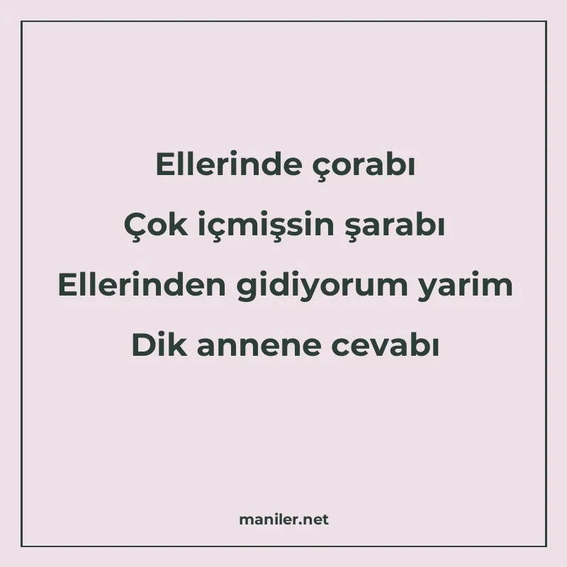 Ellerinde çorabı Çok içmişsin şarabı Ellerinden gidiyorum ya