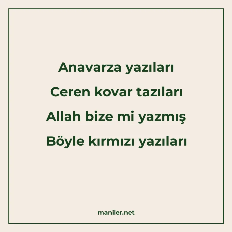 Anavarza yazıları Ceren kovar tazıları Allah bize mi yazmış
