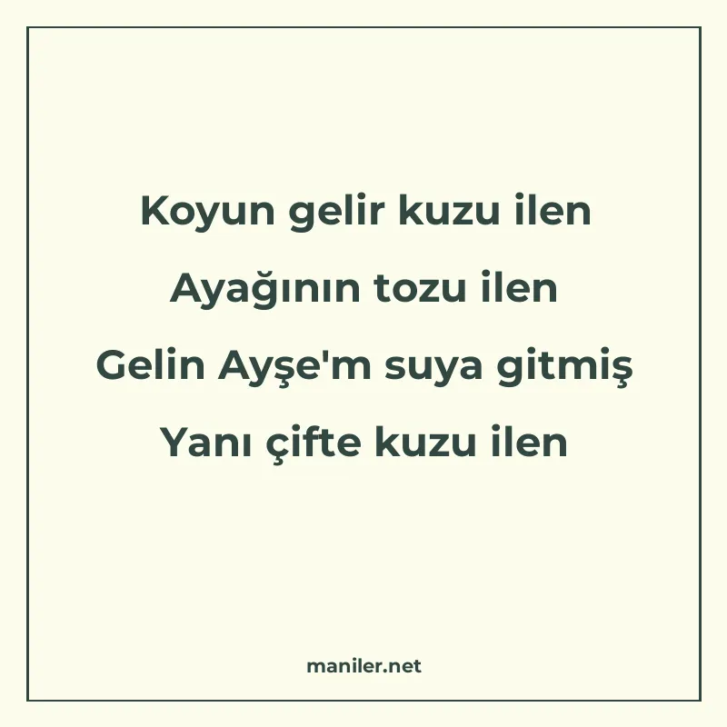Koyun gelir kuzu ilen Ayağının tozu ilen Gelin Ayşe'm suya g manisi görseli