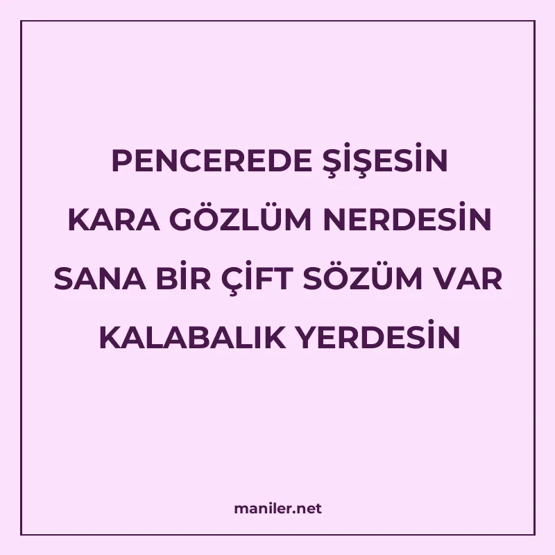PENCEREDE ŞİŞESİN KARA GÖZLÜM NERDESİN SANA BİR ÇİFT SÖZÜM V manisi görseli