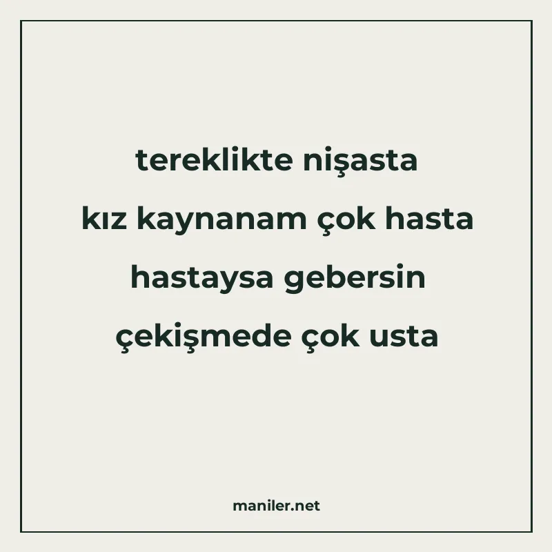 tereklikte nişasta kız kaynanam çok hasta hastaysa gebersin manisi görseli