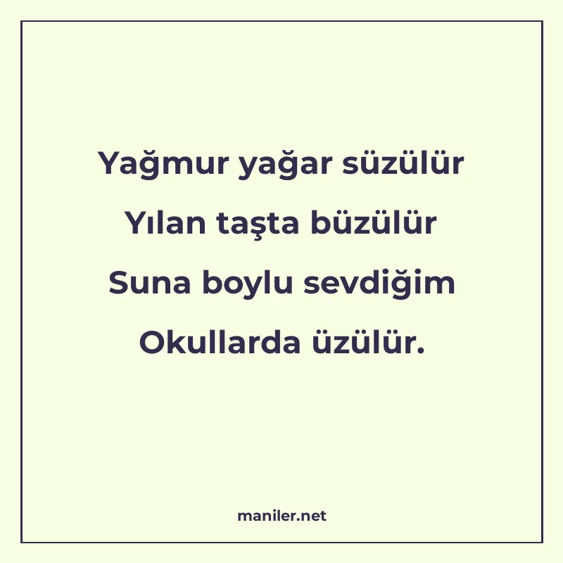 Yağmur yağar süzülür Yılan taşta büzülür Suna boylu sevdiğim manisi görseli