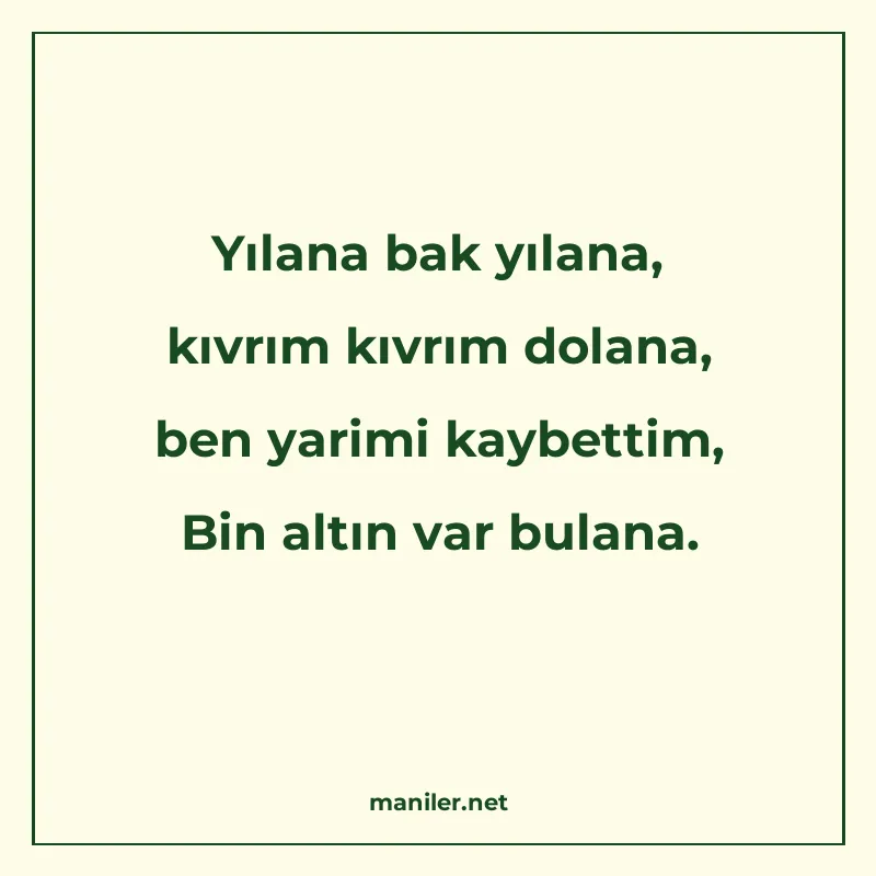 Yılana bak yılana, kıvrım kıvrım dolana, ben yarimi kaybetti manisi görseli