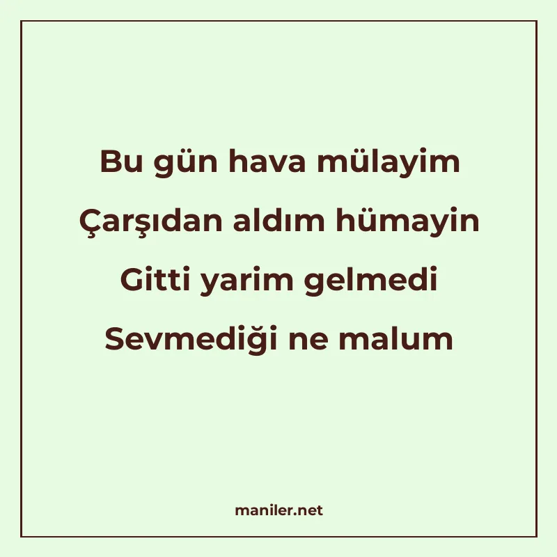 Bu gün hava mülayim Çarşıdan aldım hümayin Gitti yarim gelme manisi görseli