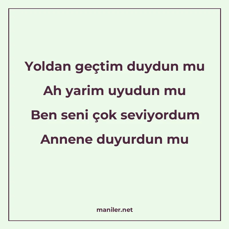Yoldan geçtim duydun mu Ah yarim uyudun mu Ben seni çok sevi manisi görseli