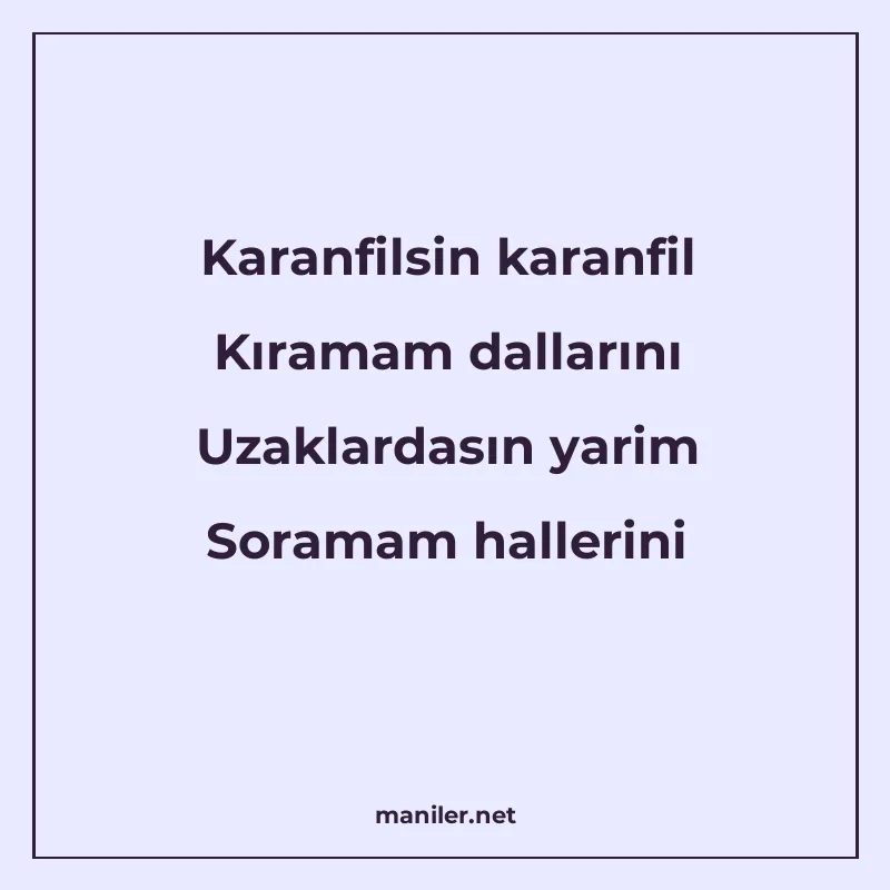 Karanfilsin karanfil Kıramam dallarını Uzaklardasın yarim So manisi görseli