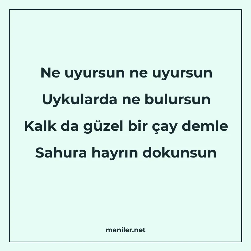 Ne uyursun ne uyursun Uykularda ne bulursun Kalk da güzel bi manisi görseli