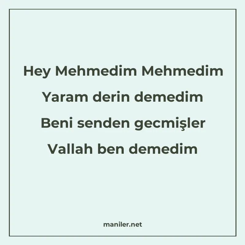 Hey Mehmedim Mehmedim Yaram derin demedim Beni senden gecmiş manisi görseli