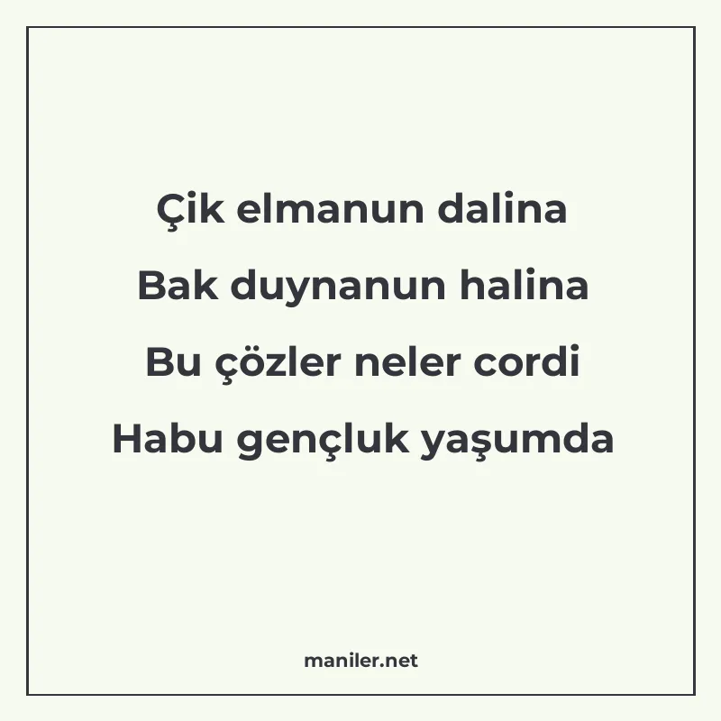 Çik elmanun dalina Bak duynanun halina Bu çözler neler cordi manisi görseli