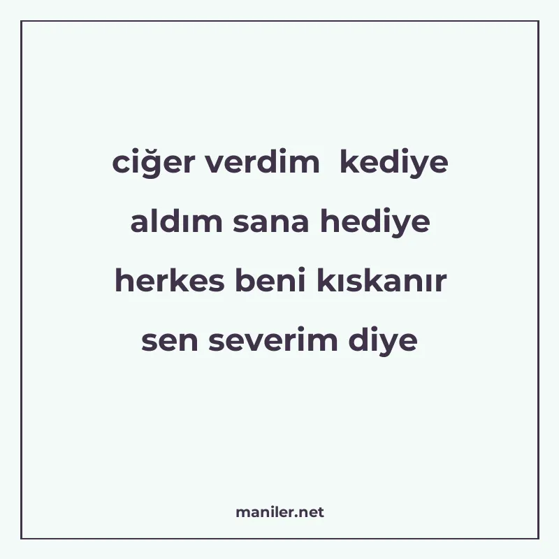 ciğer verdim kediye aldım sana hediye herkes beni kıskanır s manisi görseli