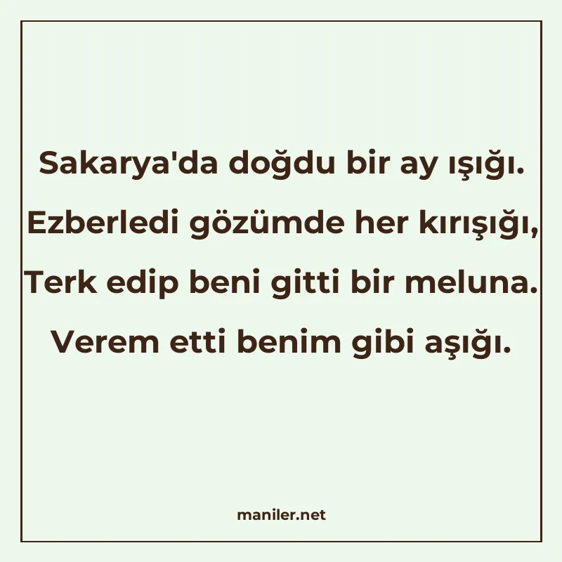 Sakarya'da doğdu bir ay ışığı. Ezberledi gözümde her kı manisi görseli