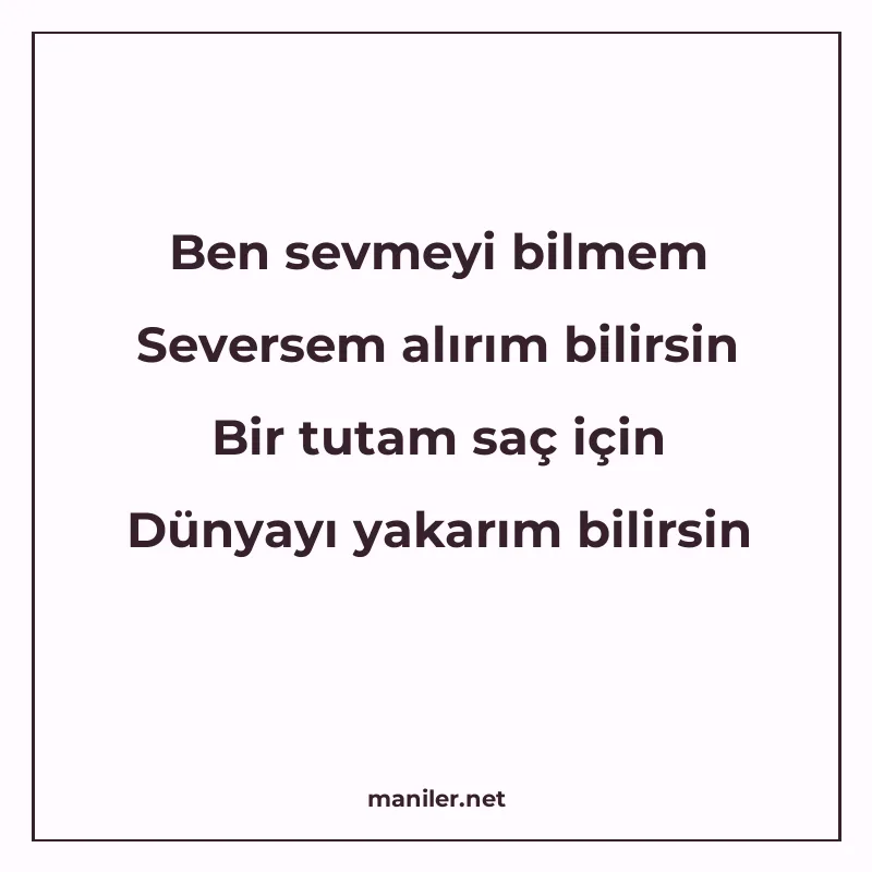Ben sevmeyi bilmem Seversem alırım bilirsin Bir tutam saç iç manisi görseli