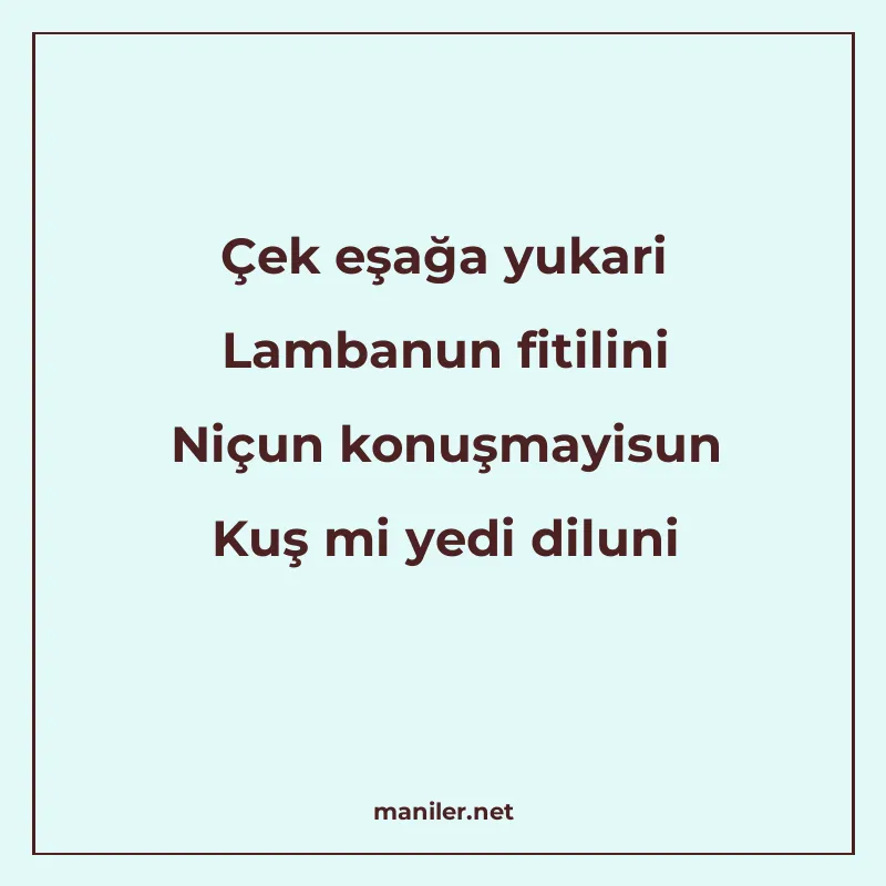 Çek eşağa yukari Lambanun fitilini Niçun konuşmayisun Kuş mi manisi görseli