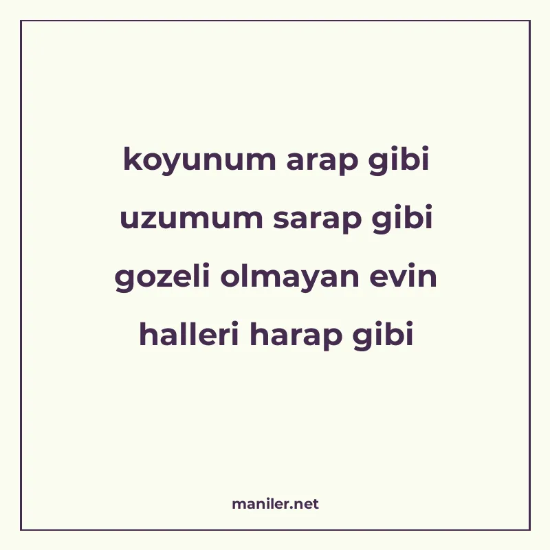 koyunum arap gibi uzumum sarap gibi gozeli olmayan evin hall manisi görseli