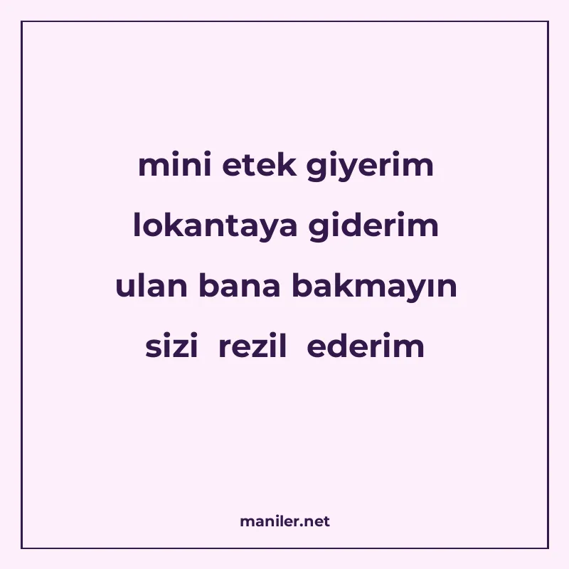 mini etek giyerim lokantaya giderim ulan bana bakmayın sizi manisi görseli