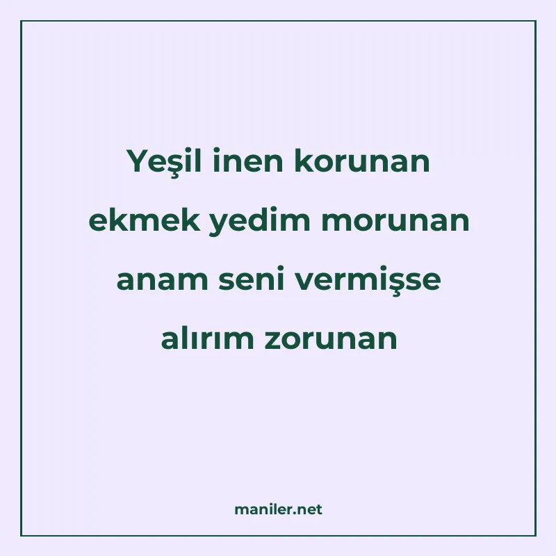 Yeşil inen korunan ekmek yedim morunan anam seni vermişse al manisi görseli