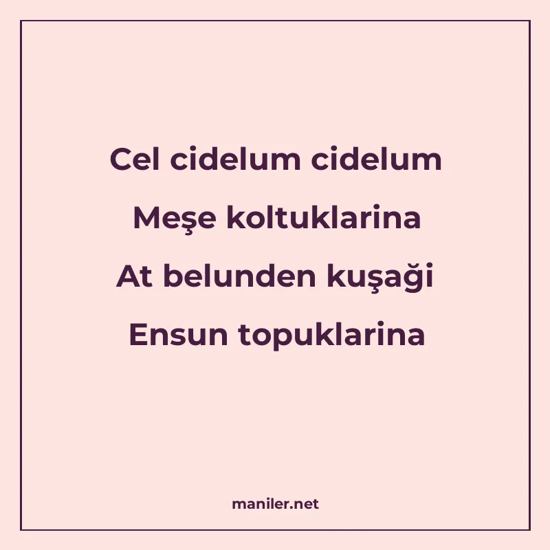 Cel cidelum cidelum Meşe koltuklarina At belunden kuşaği Ens manisi görseli