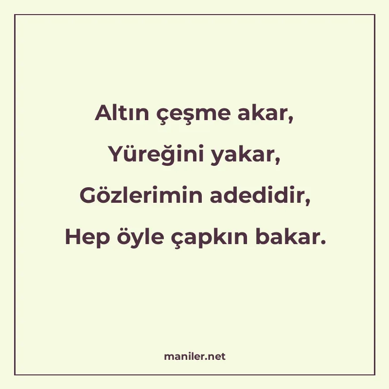 Altın çeşme akar, Yüreğini yakar, Gözlerimin adedidir, Hep ö manisi görseli