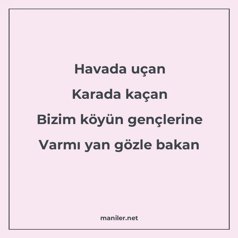 Havada uçan Karada kaçan Bizim köyün gençlerine Varmı yan gö manisi görseli
