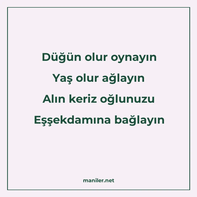 Düğün olur oynayın Yaş olur ağlayın Alın keriz oğlunuzu Eşşe manisi görseli