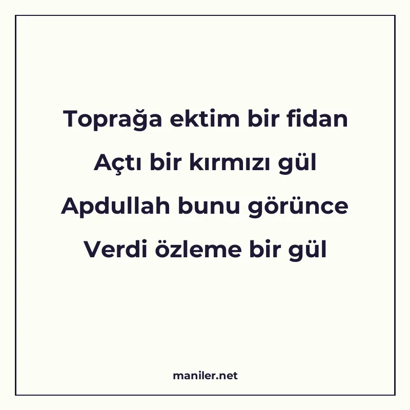 Toprağa ektim bir fidan Açtı bir kırmızı gül Apdullah bunu g