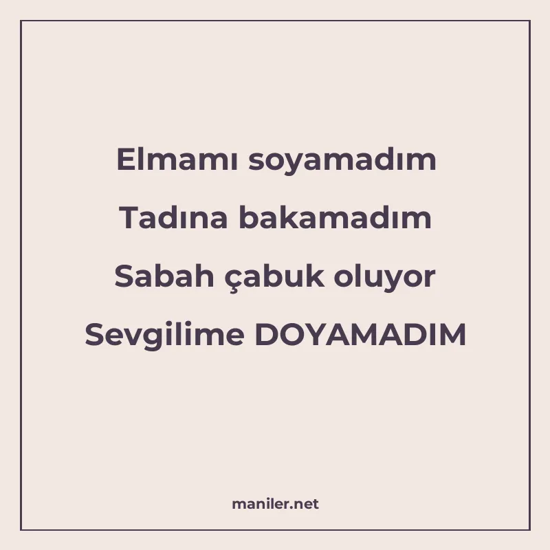 Elmamı soyamadım Tadına bakamadım Sabah çabuk oluyor Sevgili manisi görseli
