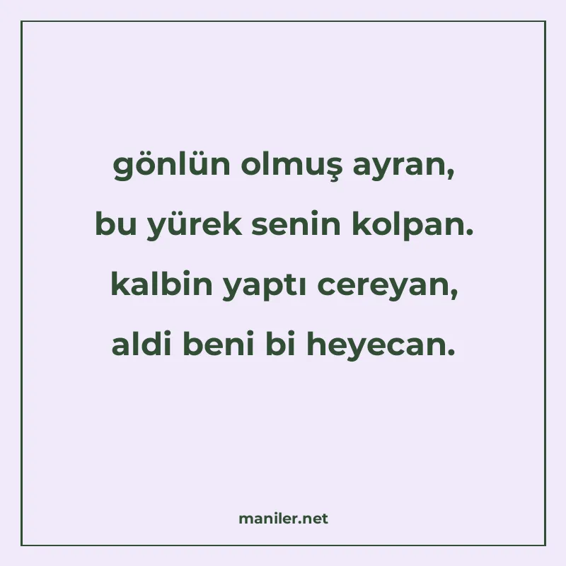 gönlün olmuş ayran, bu yürek senin kolpan. kalbin yaptı cere manisi görseli