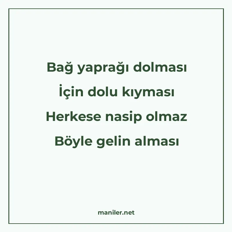 Bağ yaprağı dolması İçin dolu kıyması Herkese nasip olmaz Bö manisi görseli