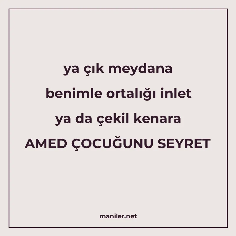 ya çık meydana benimle ortalığı inlet ya da çekil kenara AME manisi görseli