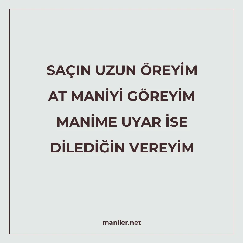 SAÇIN UZUN ÖREYİM AT MANİYİ GÖREYİM MANİME UYAR İSE DİLEDİĞİ manisi görseli