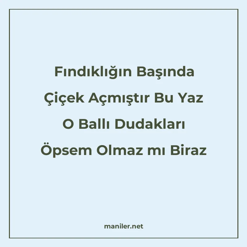 Fındıklığın Başında Çiçek Açmıştır Bu Yaz O Ballı Dudakları manisi görseli