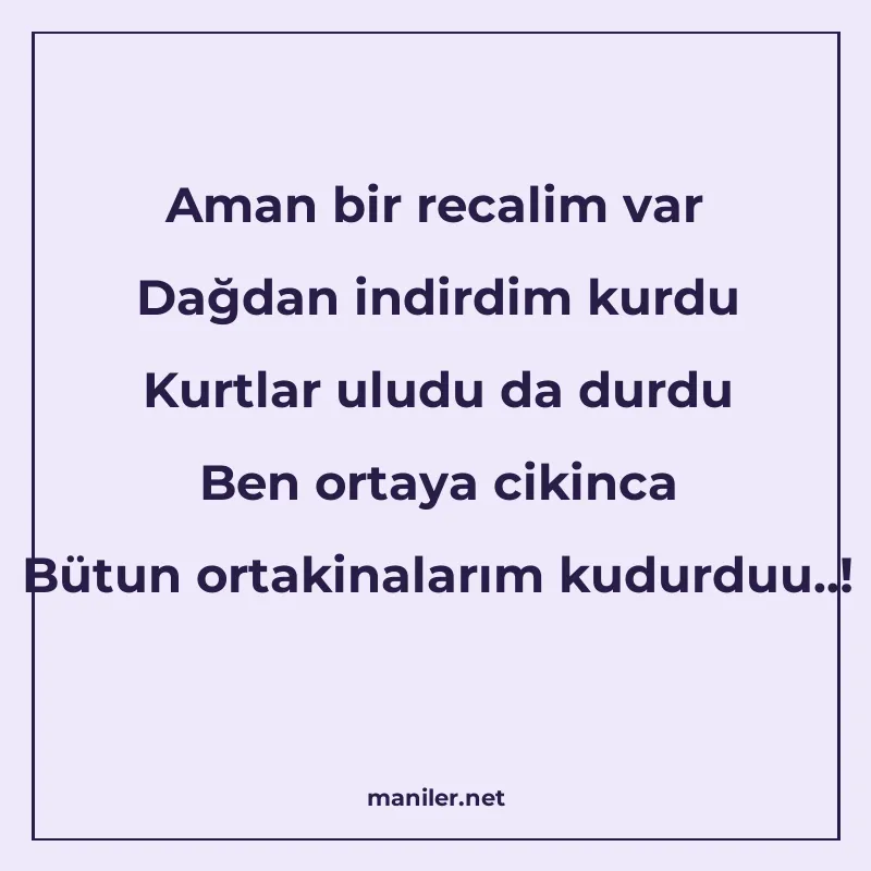 Aman bir recalim var Dağdan indirdim kurdu Kurtlar uludu da  manisi görseli