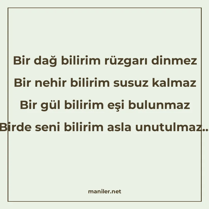 Bir dağ bilirim rüzgarı dinmez Bir nehir bilirim susuz kalma manisi görseli