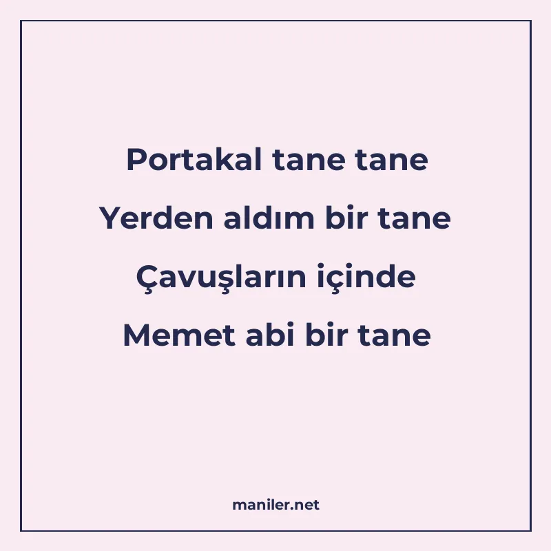 Portakal tane tane Yerden aldım bir tane Çavuşların içinde M manisi görseli