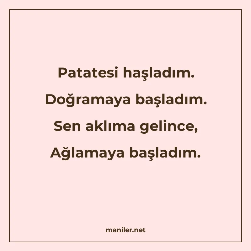 Patatesi haşladım. Doğramaya başladım. Sen aklıma gelince, A manisi görseli