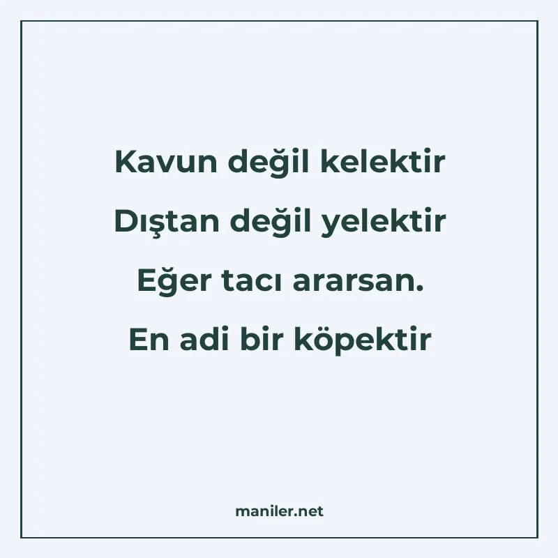 Kavun değil kelektir Dıştan değil yelektir Eğer tacı ararsan manisi görseli