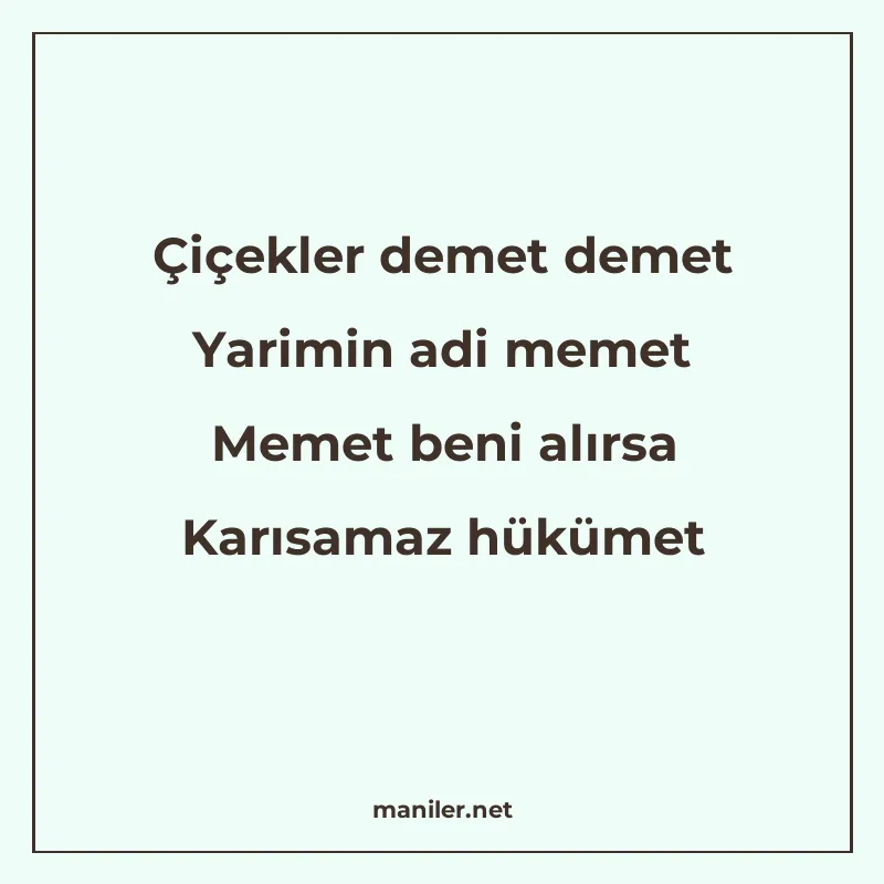 Çiçekler demet demet Yarimin adi memet Memet beni alırsa Kar manisi görseli