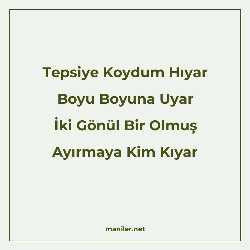 Tepsiye Koydum Hıyar Boyu Boyuna Uyar İki Gönül Bir Olmuş Ay manisi görseli