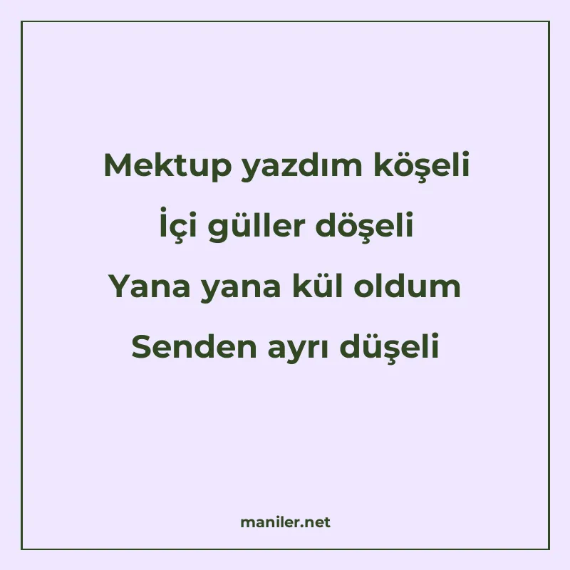 Mektup yazdım köşeli İçi güller döşeli Yana yana kül oldum S manisi görseli