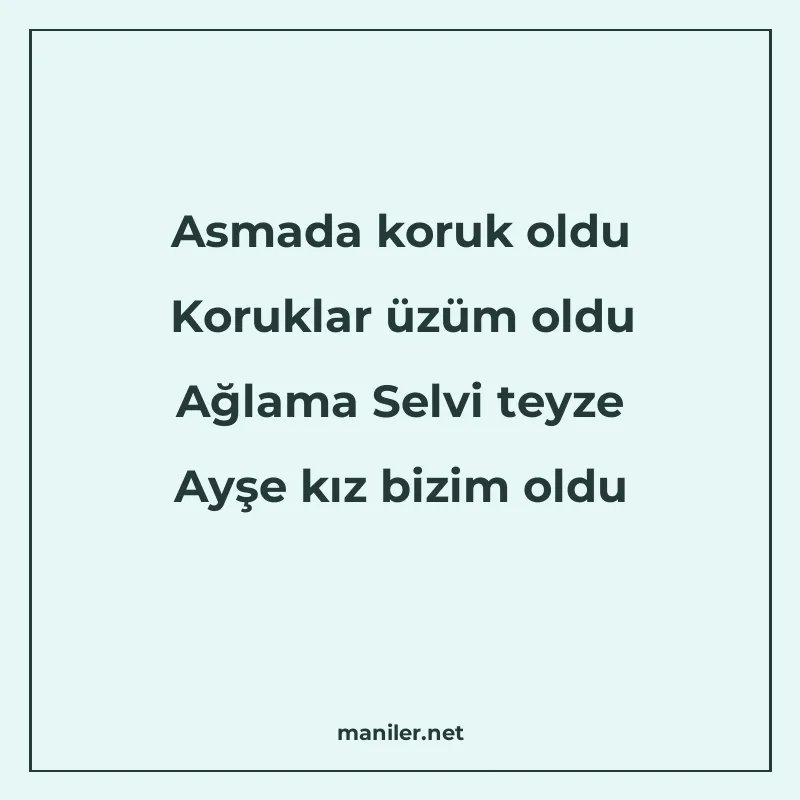 Asmada koruk oldu Koruklar üzüm oldu Ağlama Selvi teyze Ayşe