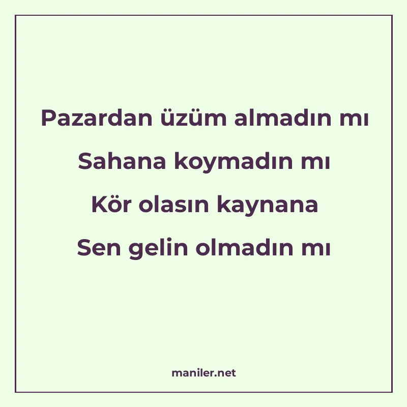 Pazardan üzüm almadın mı Sahana koymadın mı Kör olasın kayna