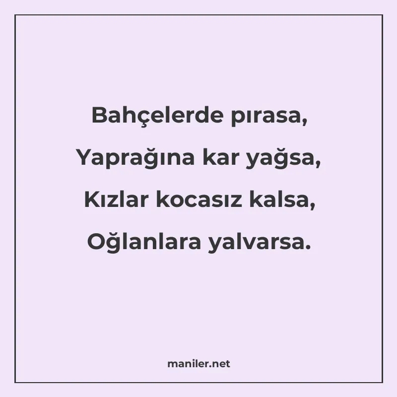Bahçelerde pırasa, Yaprağına kar yağsa, Kızlar kocasız kalsa manisi görseli