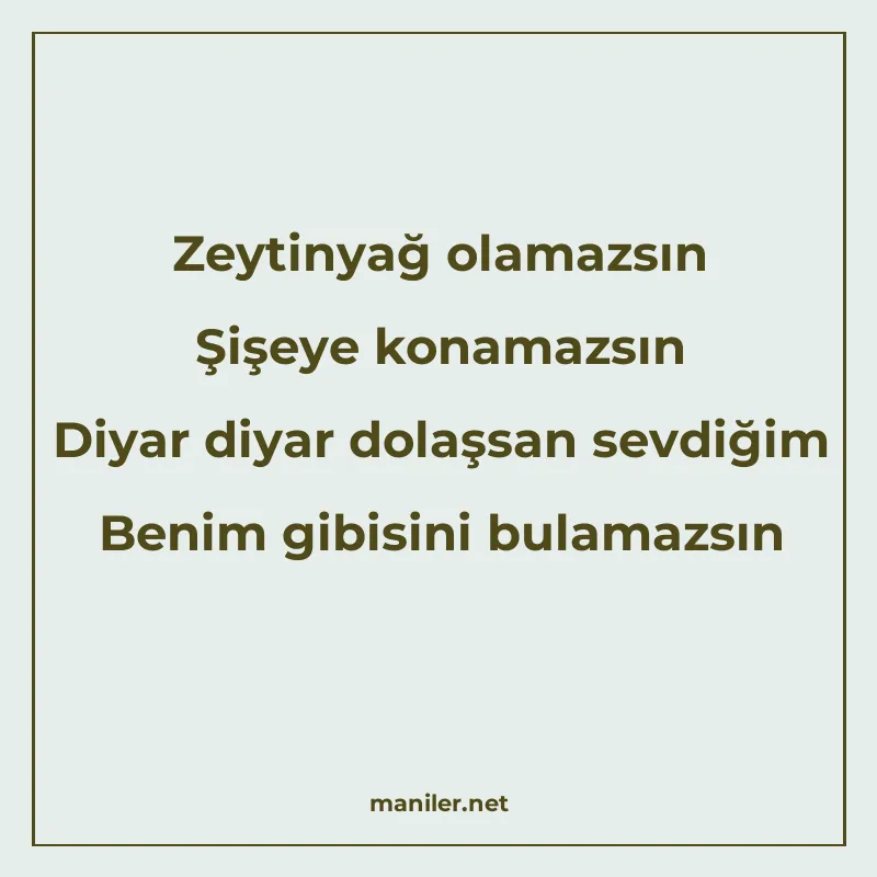 Zeytinyağ olamazsın Şişeye konamazsın Diyar diyar dolaşsan s manisi görseli