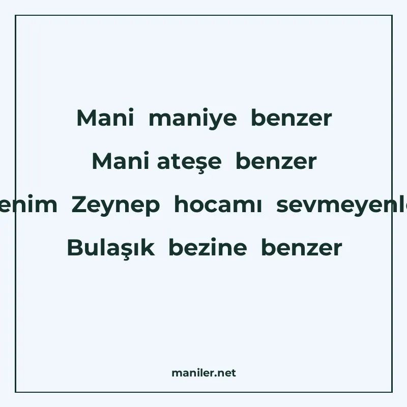 Mani maniye benzer Mani ateşe benzer Benim Zeynep hocamı sev manisi görseli